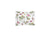 Baudin Butterfly Sham