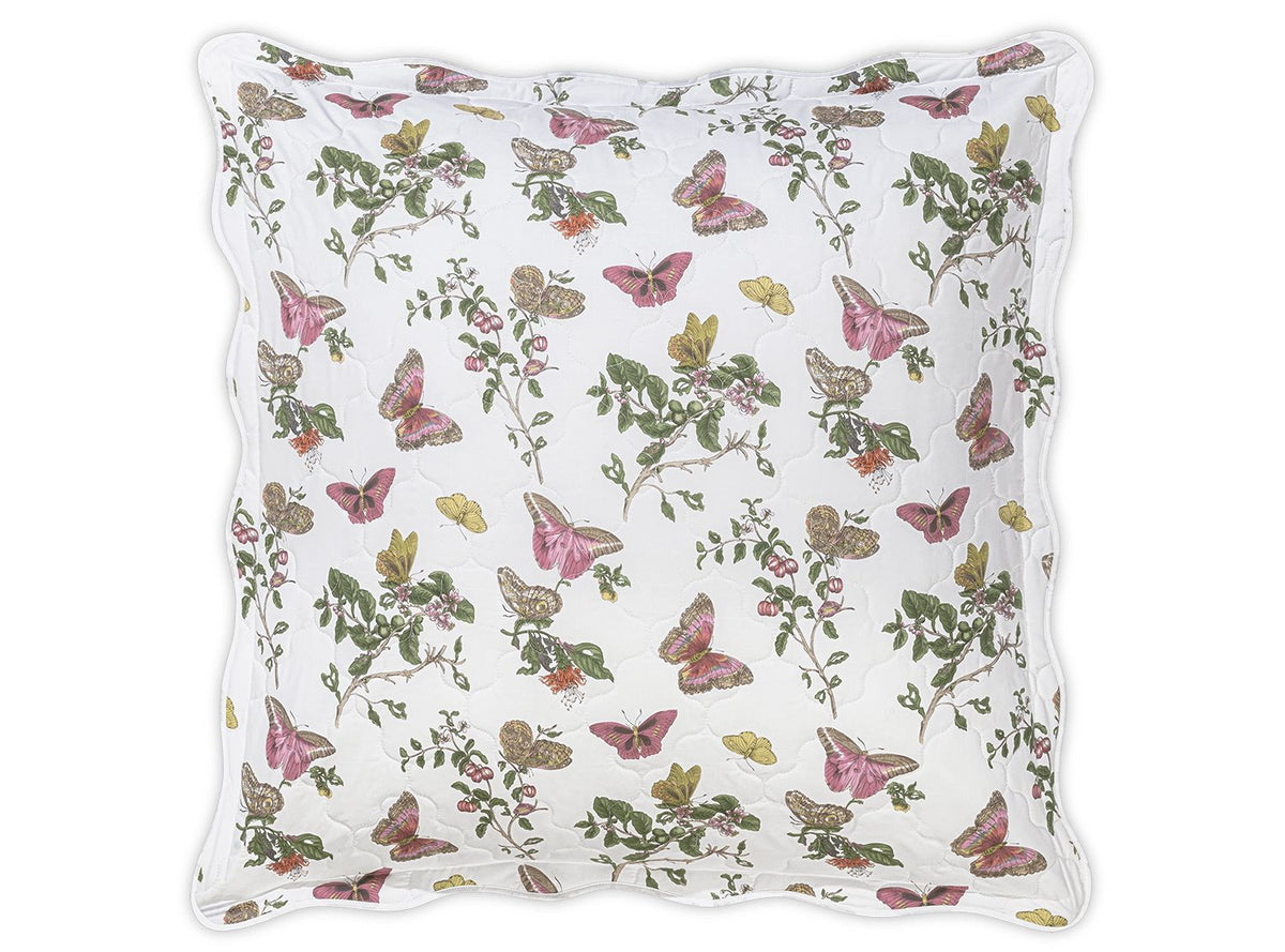 Baudin Butterfly Sham