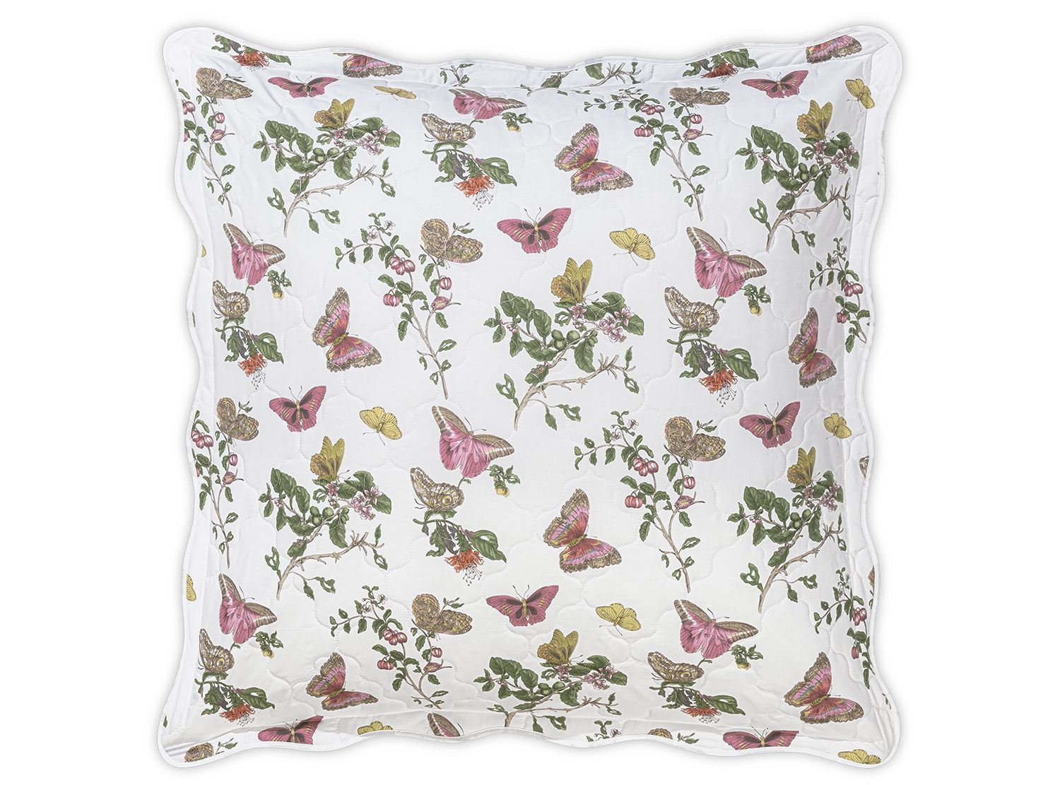 Baudin Butterfly Sham