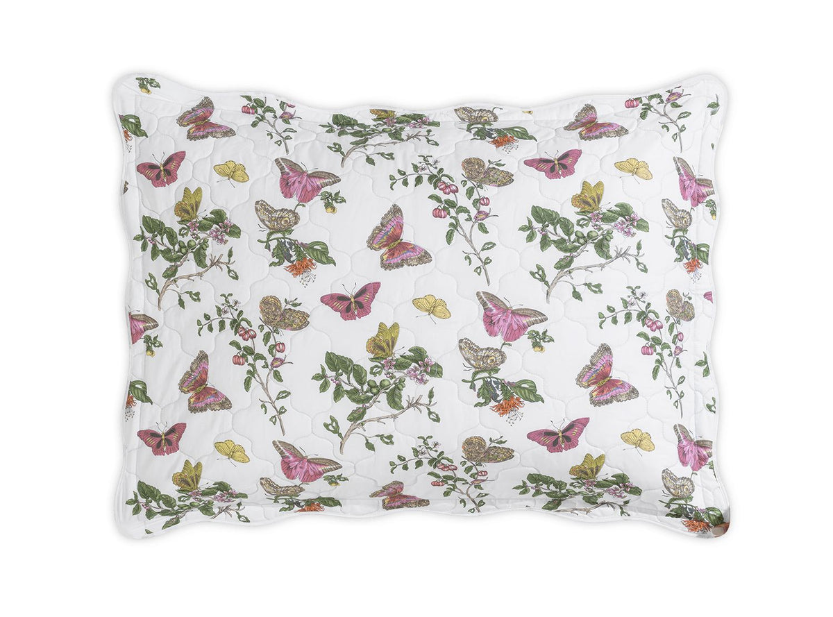 Baudin Butterfly Sham