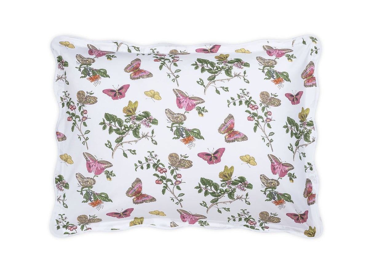 Baudin Butterfly Sham