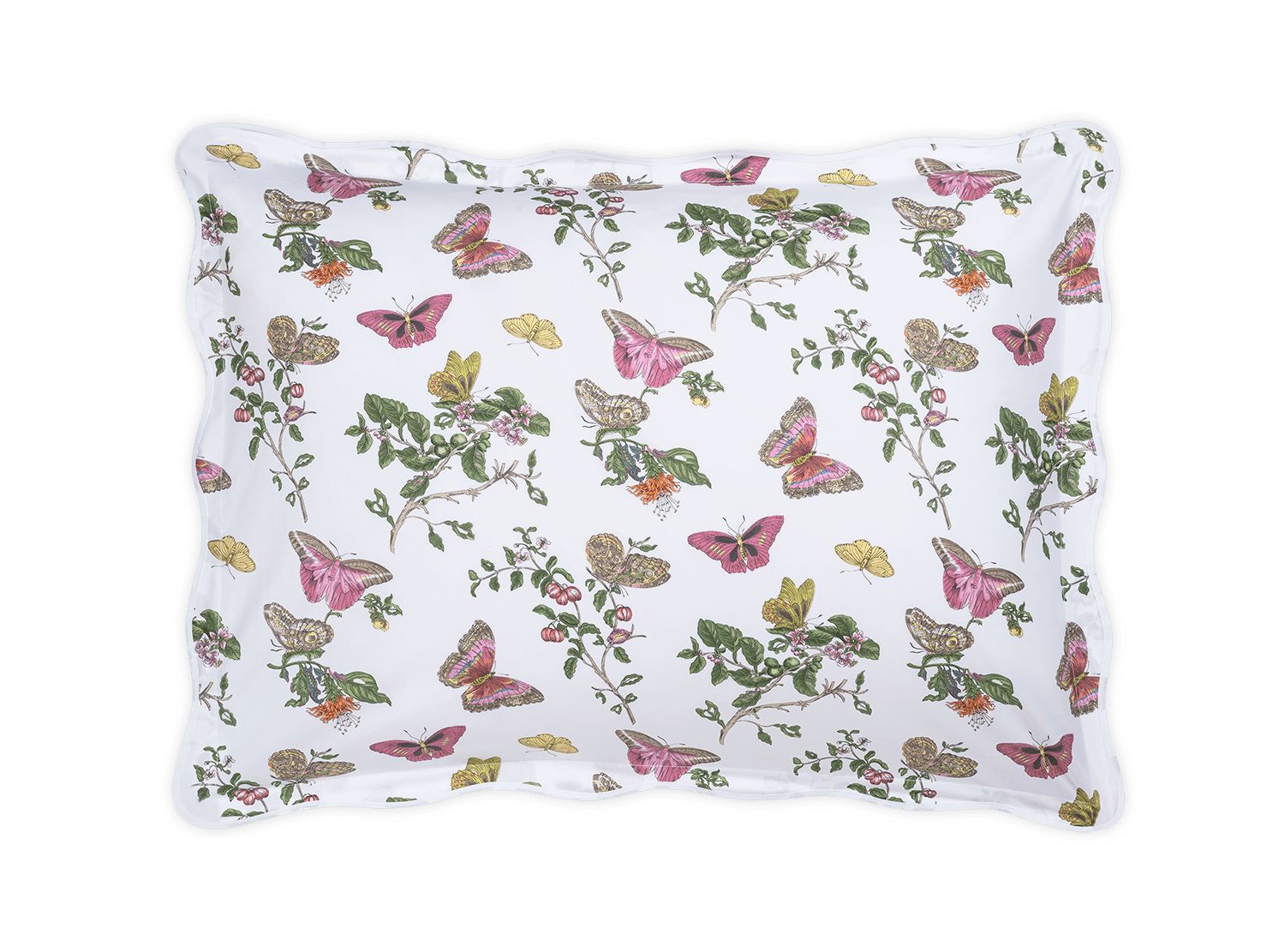 Baudin Butterfly Sham