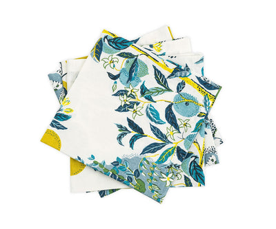 Citrus Garden Napkin - set of 4