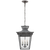 Elsinore Medium Hanging Lantern with Clear Glass