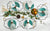 Scallop Edge Placemat - set of 4