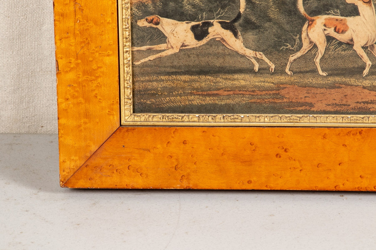 ENGLISH 19TH C. COLORED PRINT- HUNT SCENE in a Burlwood Frame - Salisbury & Manus