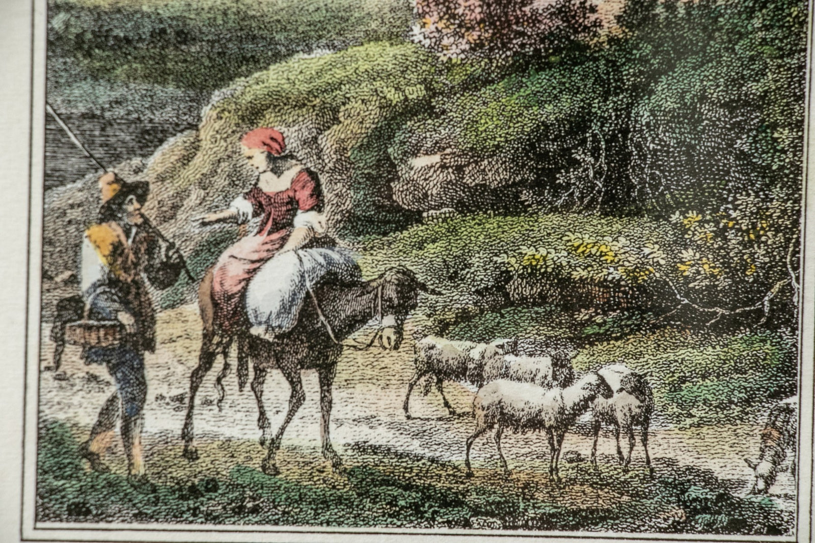 Pair of Italian Hand Colored Prints in Custom Frames - Salisbury & Manus