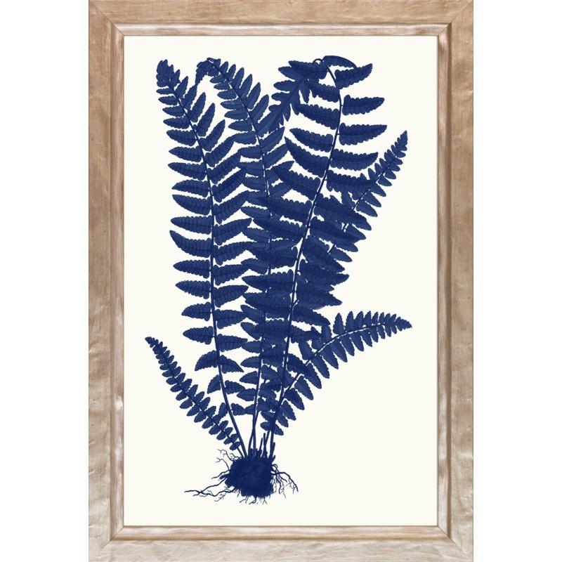 Blue Silhouette Ferns P0095A-06112 - Salisbury & Manus