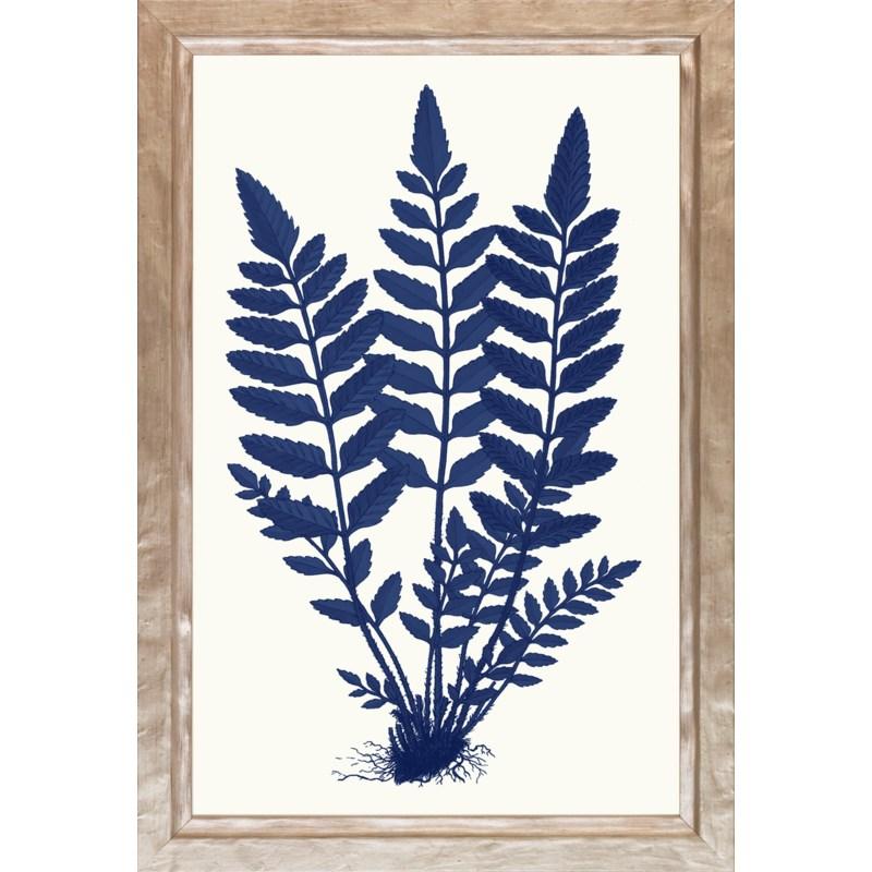 Blue Silhouette Ferns P0095B-06112 - Salisbury & Manus