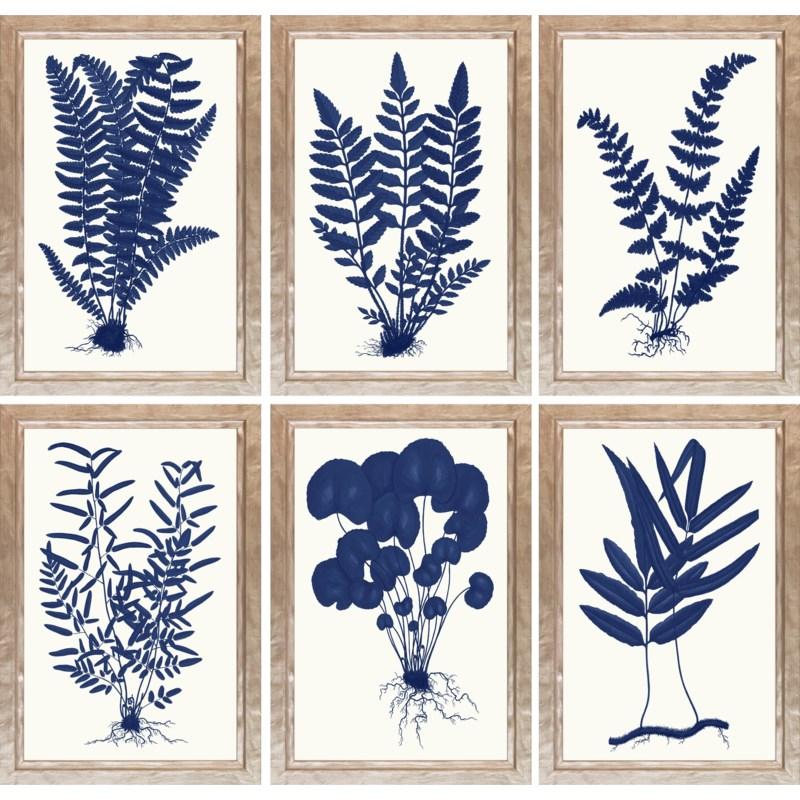 Blue Silhouette Ferns P0095D-06112 - Salisbury & Manus