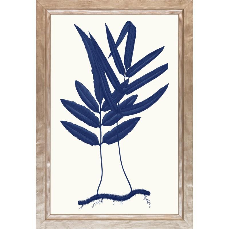Blue Silhouette Ferns P0095F-06112 - Salisbury & Manus