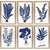 Blue Silhouette Ferns P0095F-06112 - Salisbury & Manus