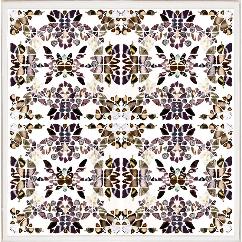 Butterfly Patterns 2, Framed Artwork - Salisbury & Manus