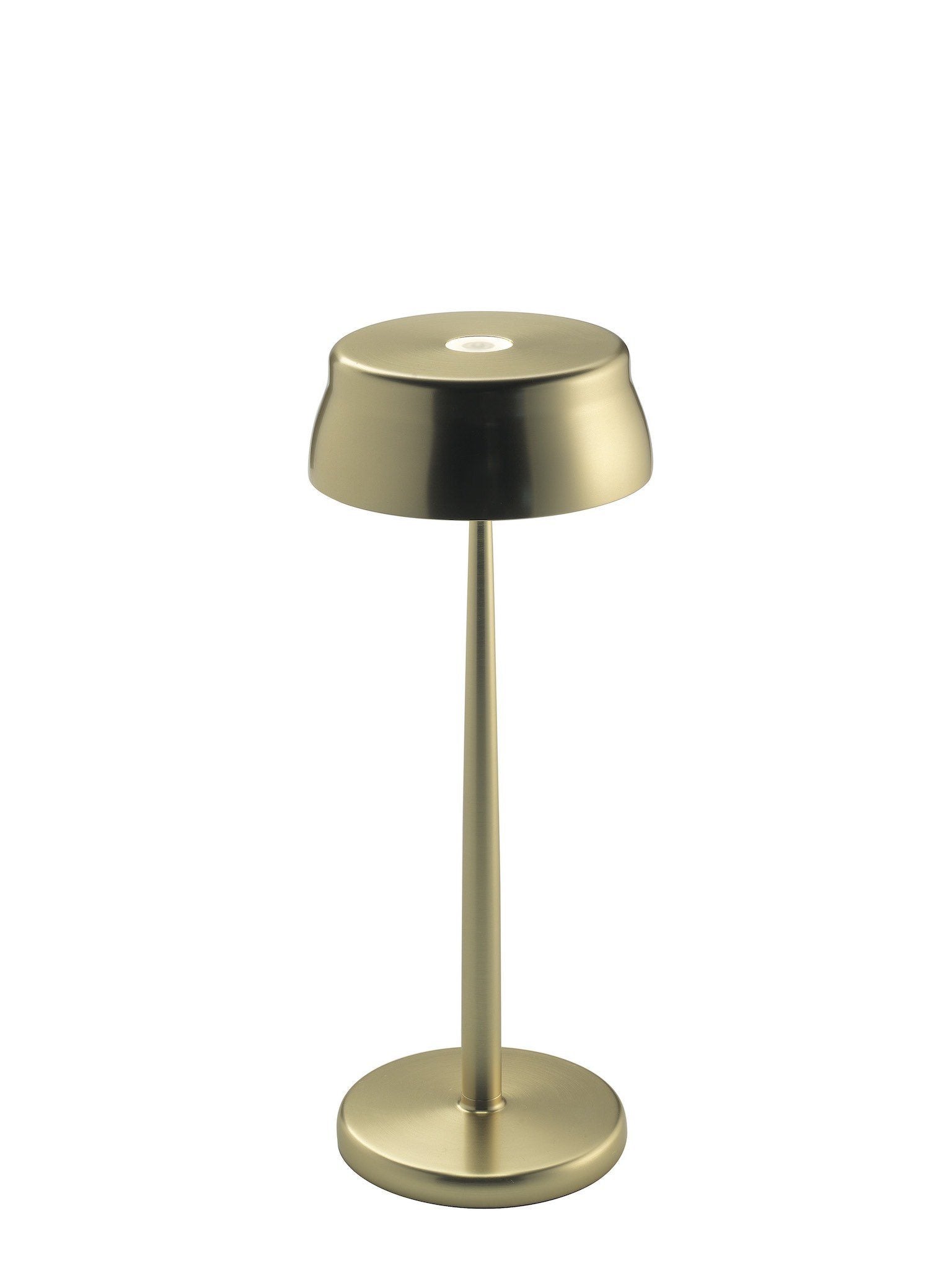 Chargeable Lamps - Salisbury & Manus