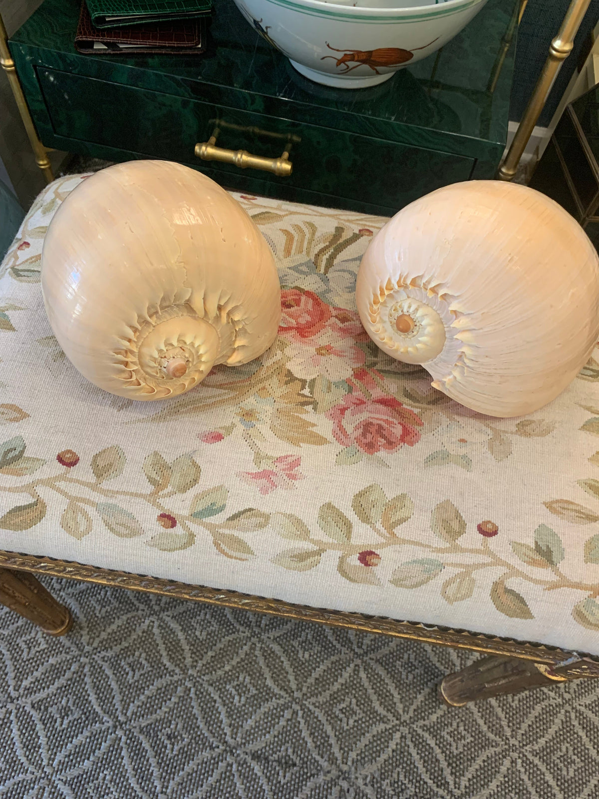 Pair of Shells