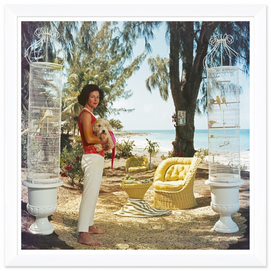 Slim Aarons - Getty Images "Gloria Schiff," January 1, 1963 - Salisbury & Manus