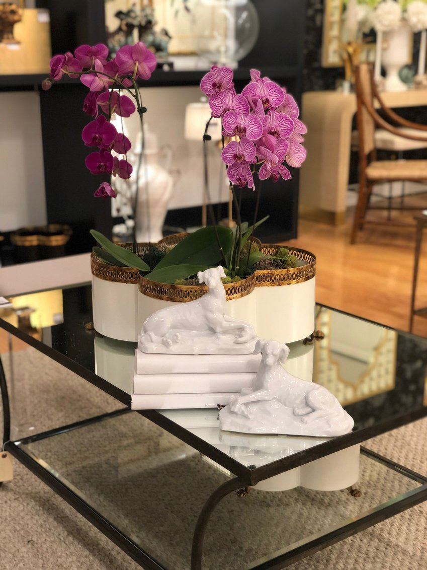 Tracery Cachepot - Cream - Salisbury & Manus