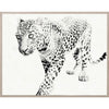 Tylinek Leopard - Salisbury & Manus