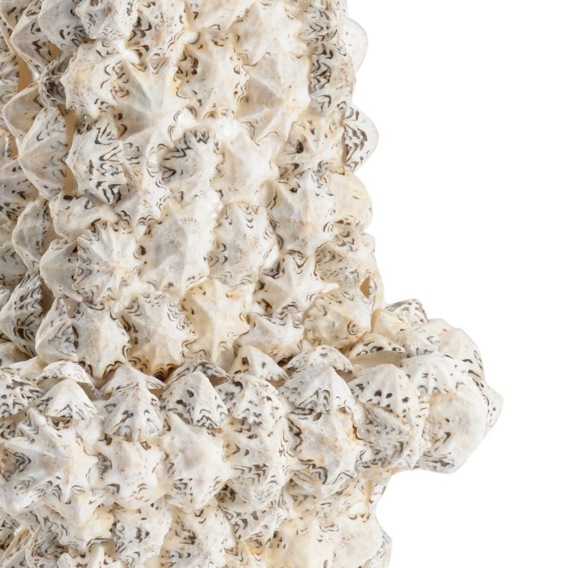 White & Black Shell Obelisk - Salisbury & Manus