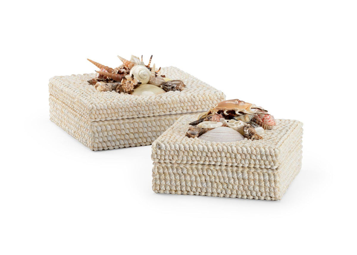 White Shell Boxes (S2) 384163 - Salisbury &amp; Manus